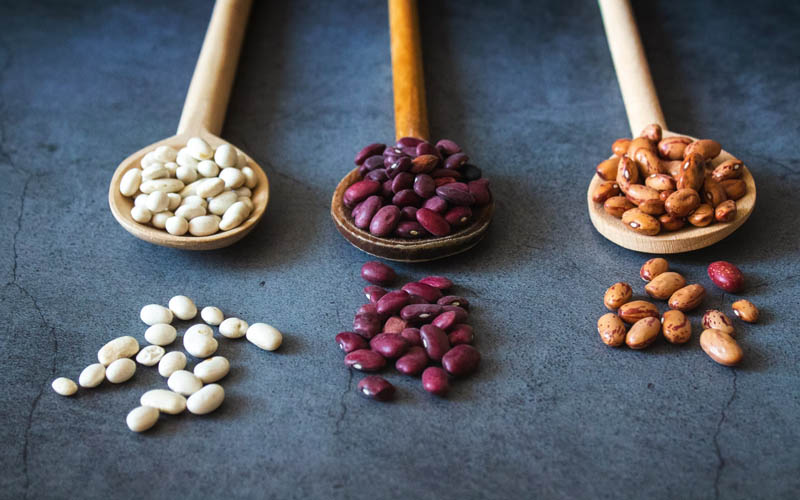 Experts Warn, Don’t Eat These Toxic Beans! yoRecipes
