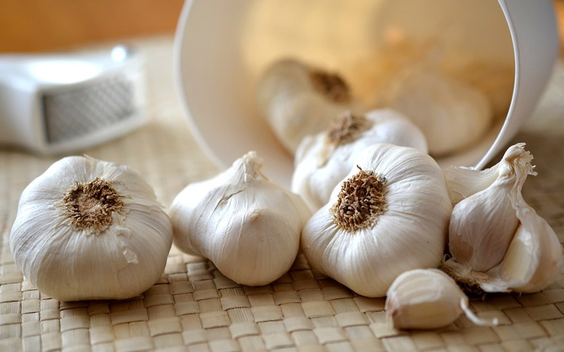 Here’s What Happens if You Eat Garlic and Honey Every Day yoRecipes